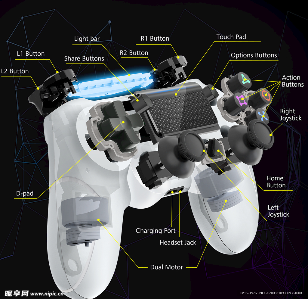 PS4 白色手柄分解图