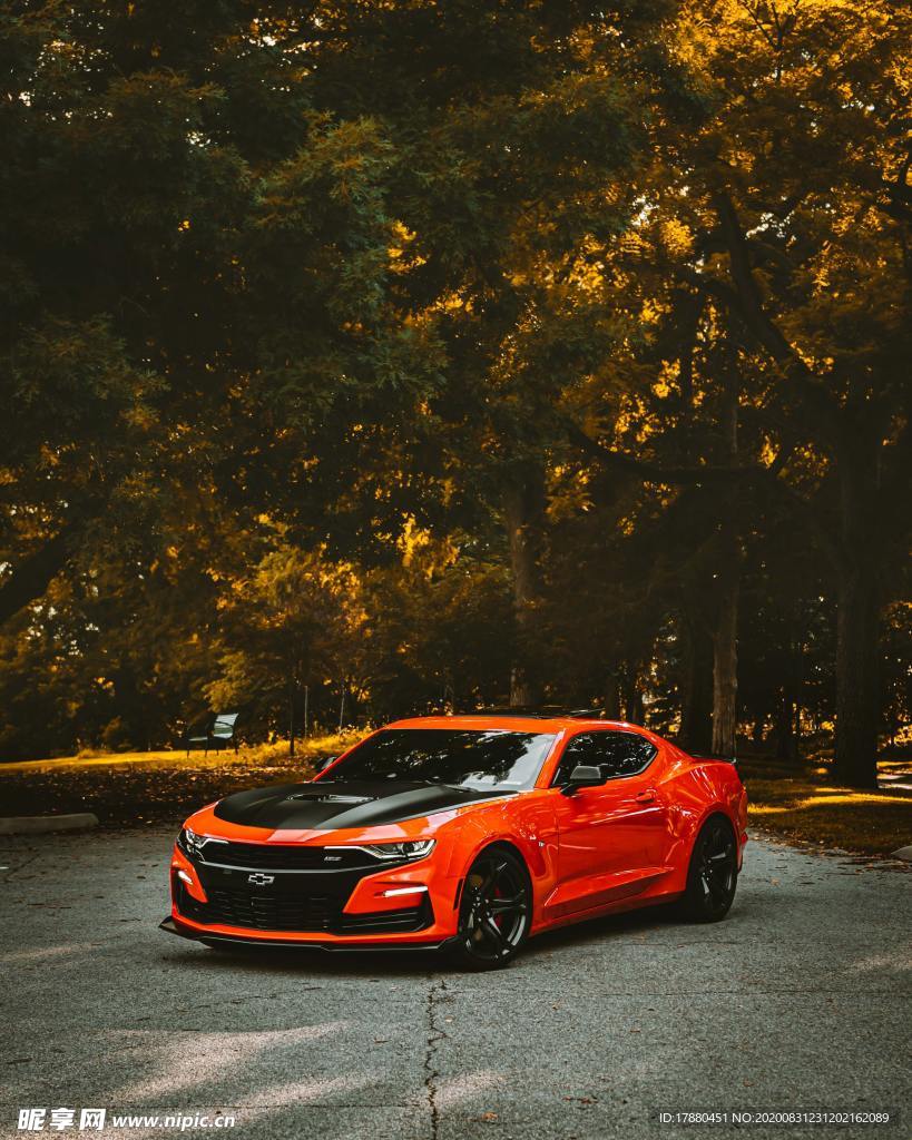 汽车