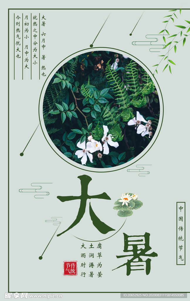 大暑 二十四节气