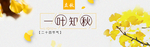 一叶知秋