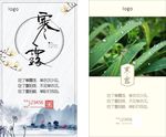 水珠叶子