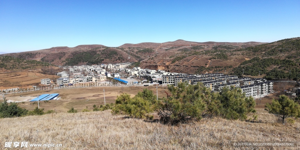 大山松树村庄建筑风景