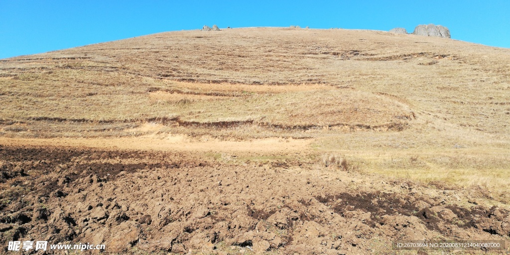 荒山野地