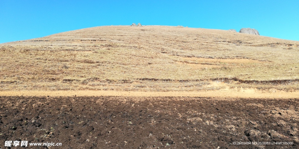 黄山野岭