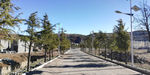 山村道路风景