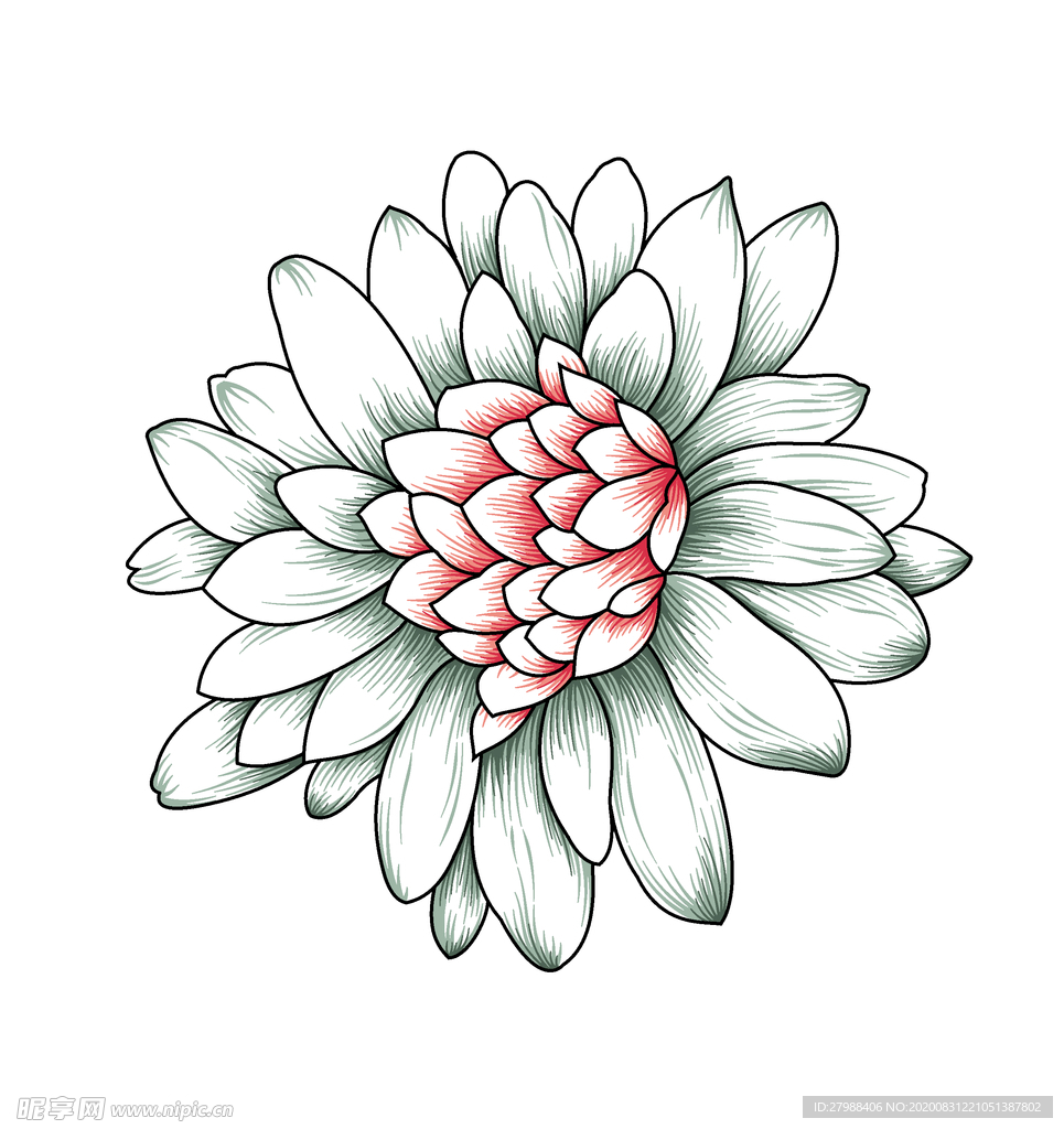 手绘花卉