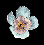 手绘花卉