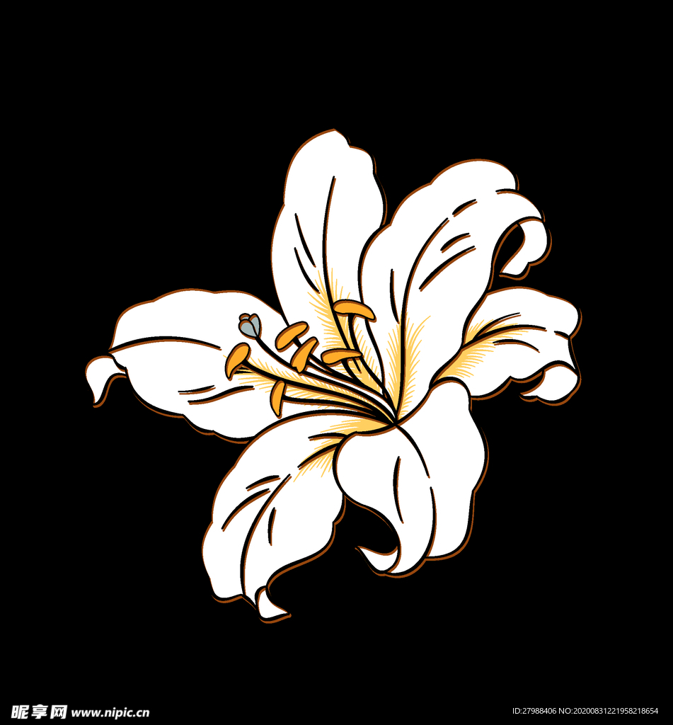 手绘百合花