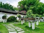 盆景园