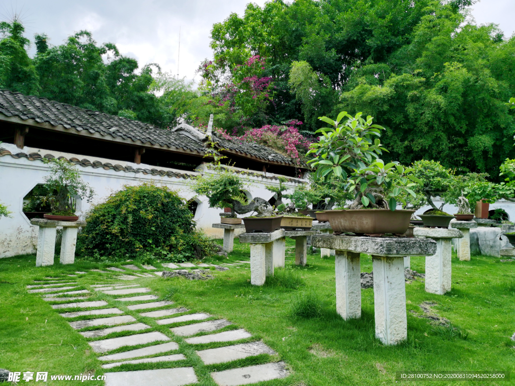 盆景园