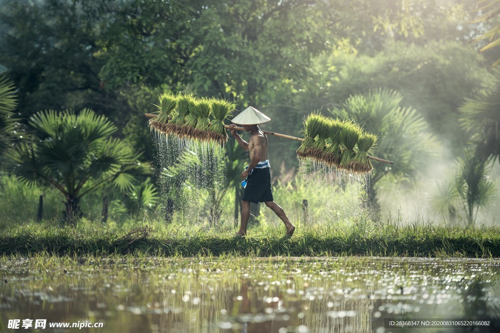 自然风景