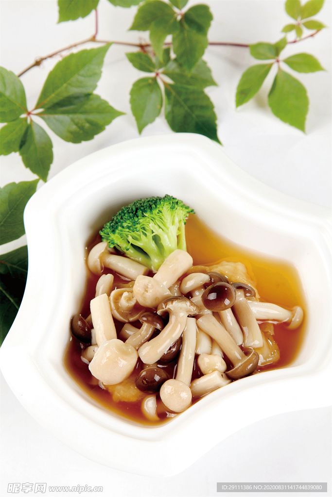 野山菌扒鱼松