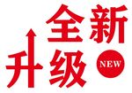 矢量全新升级