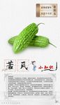蔬菜小知识海报