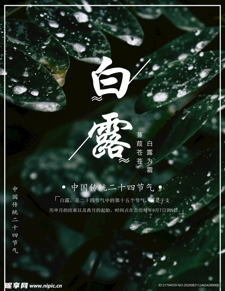 白露