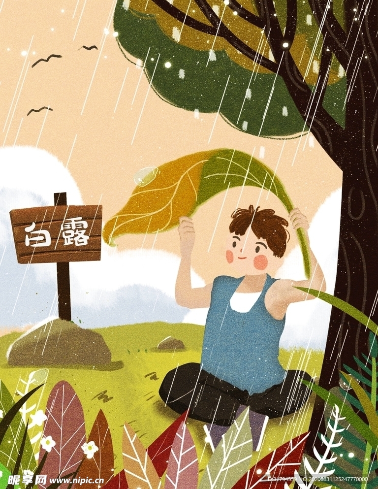 白露