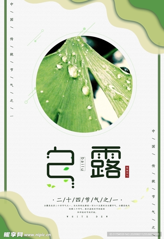 白露