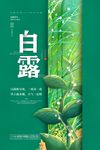 白露