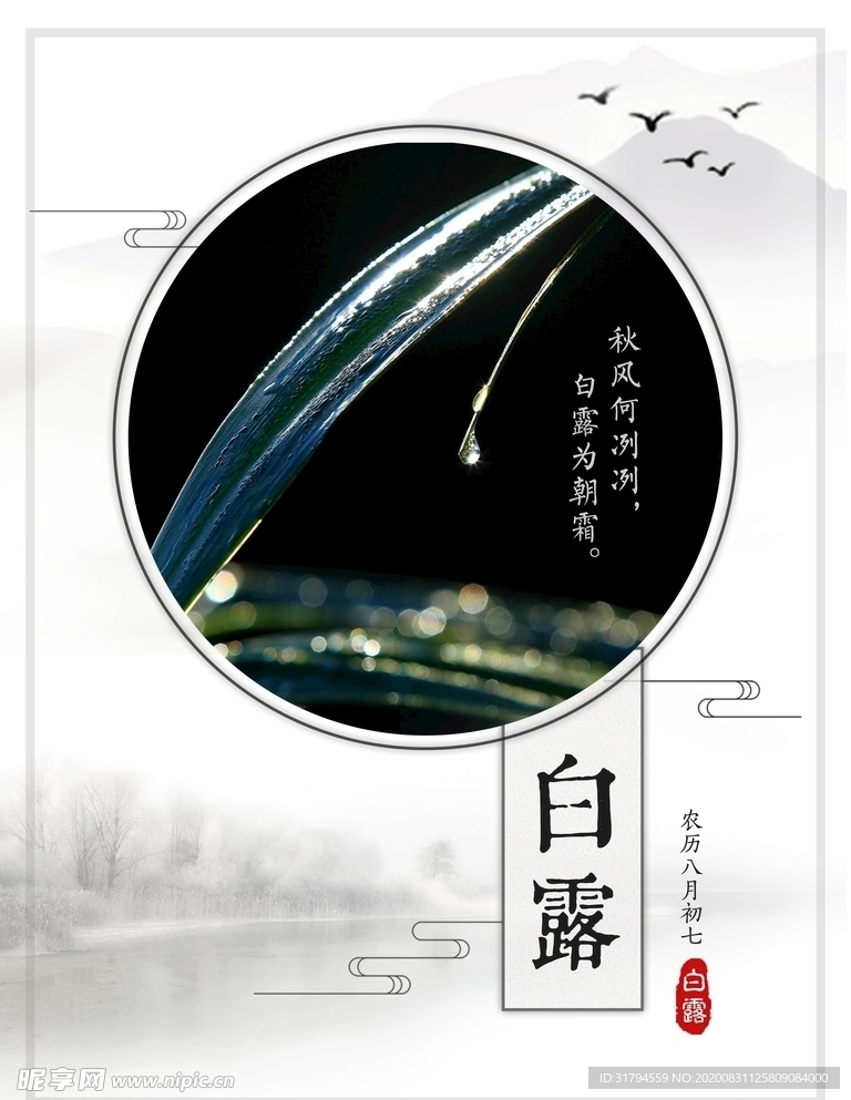 白露