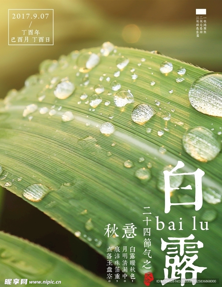 白露