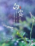 白露