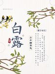 白露