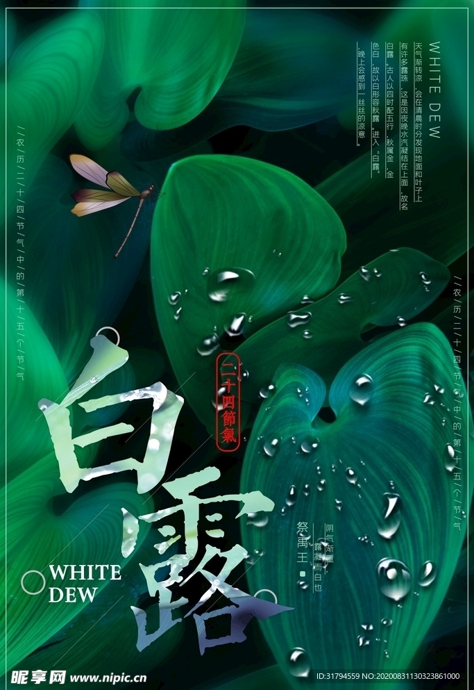 白露