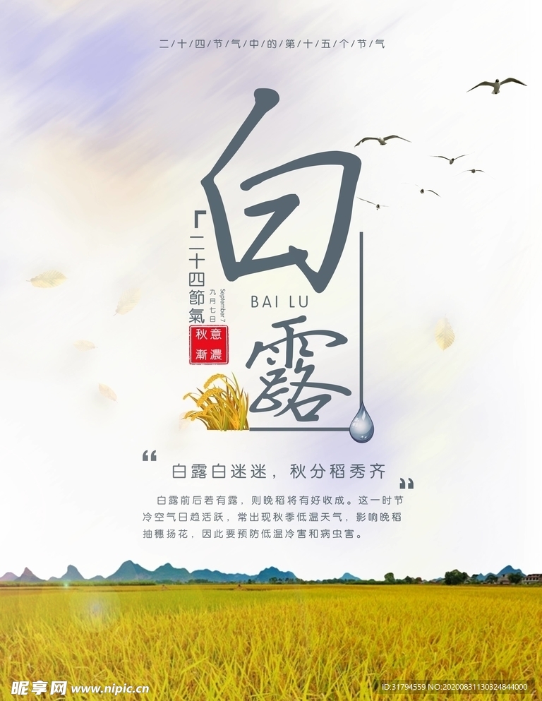 白露