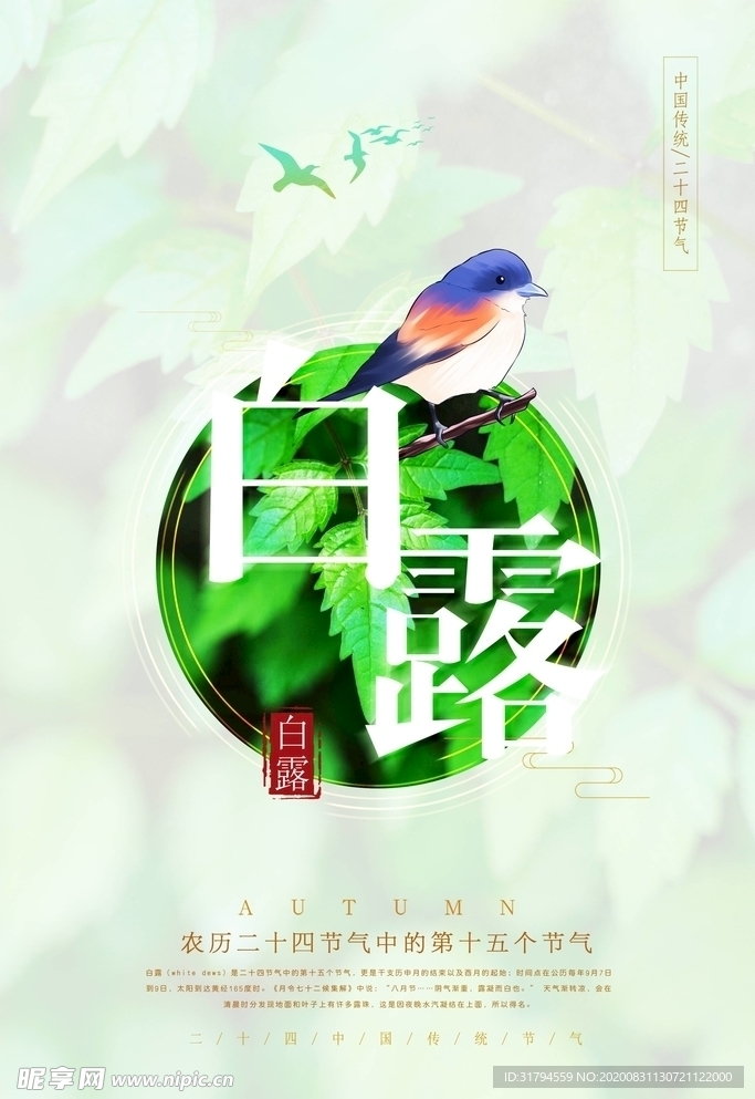 白露