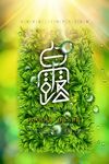 白露