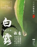 白露
