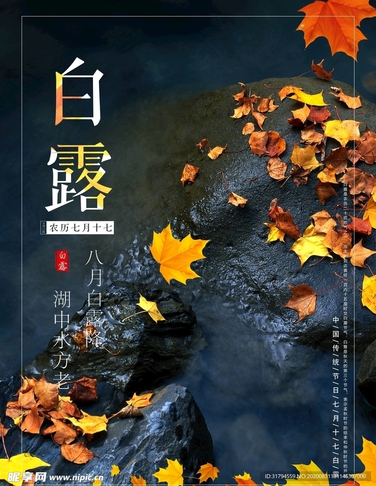 白露