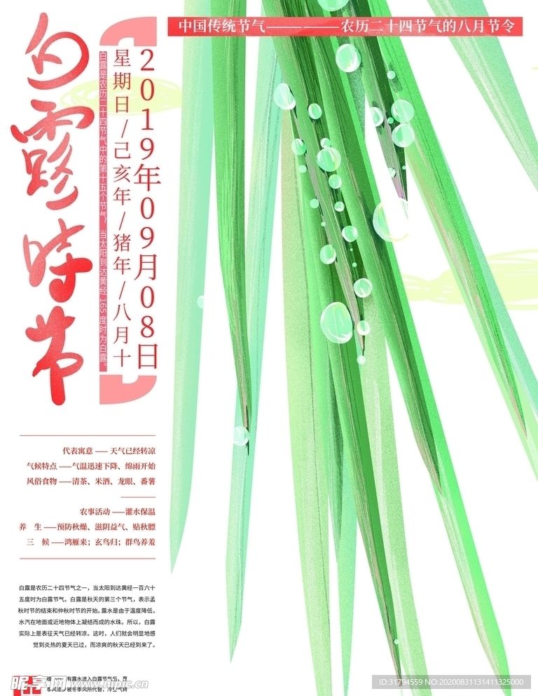 白露