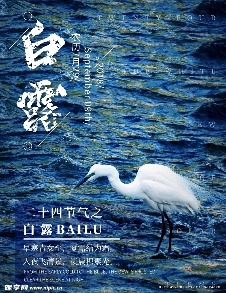 白露