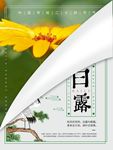 白露