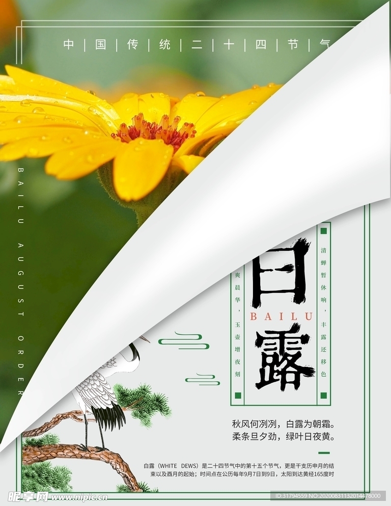 白露
