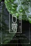 白露