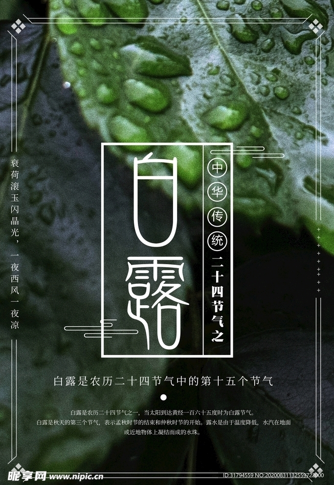 白露