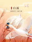 白露