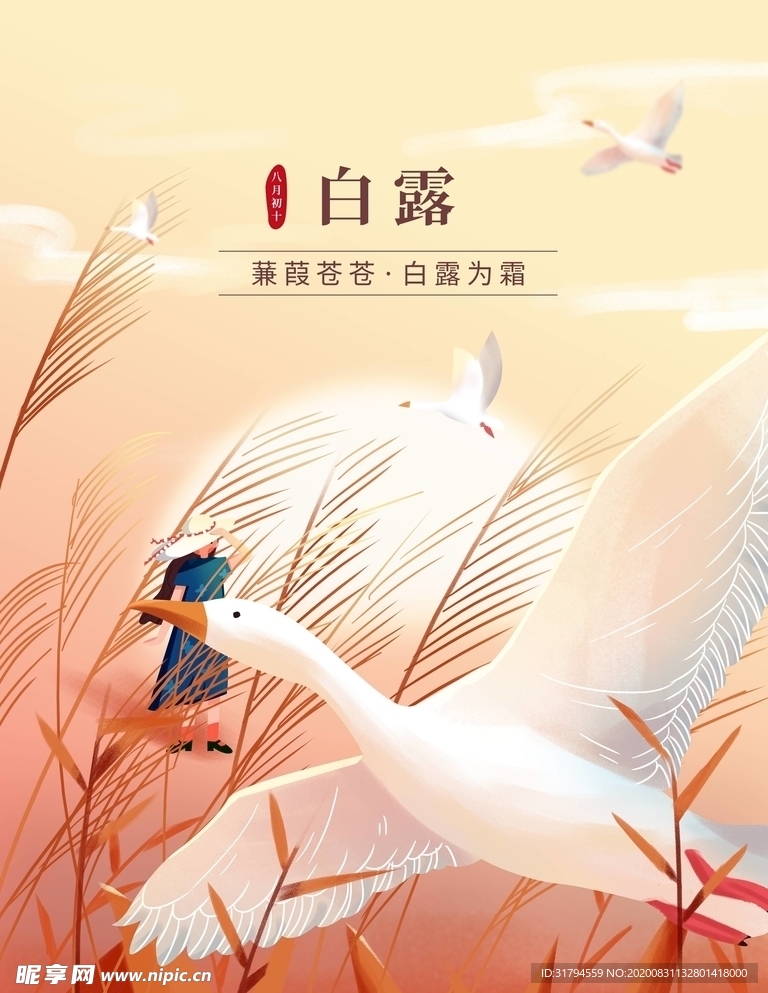 白露