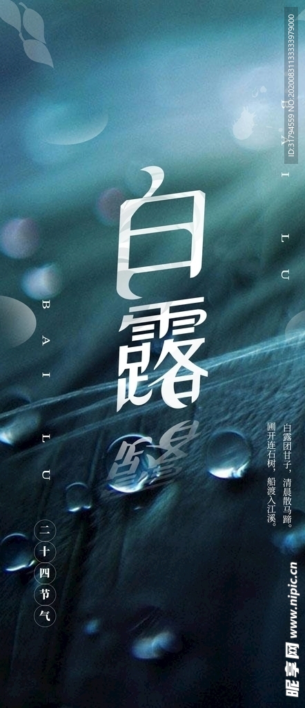 白露