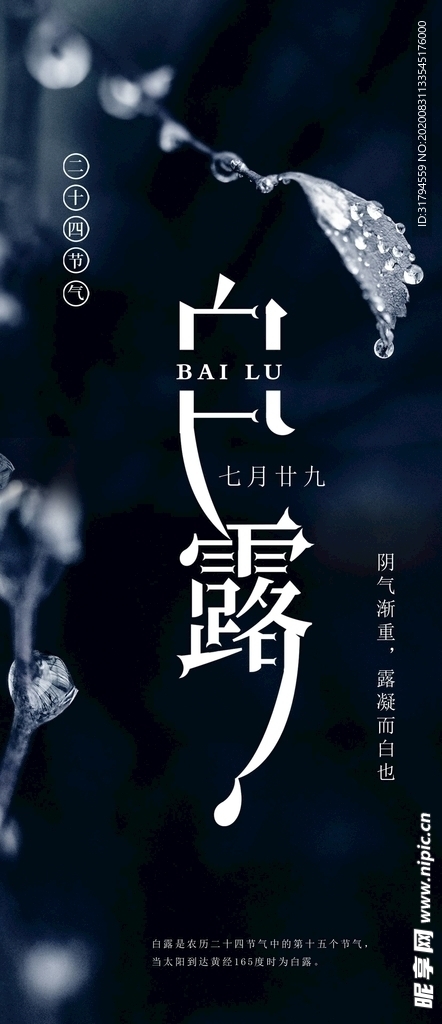 白露