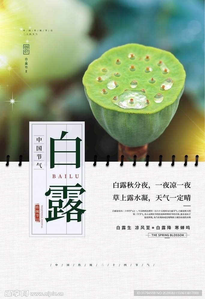 白露