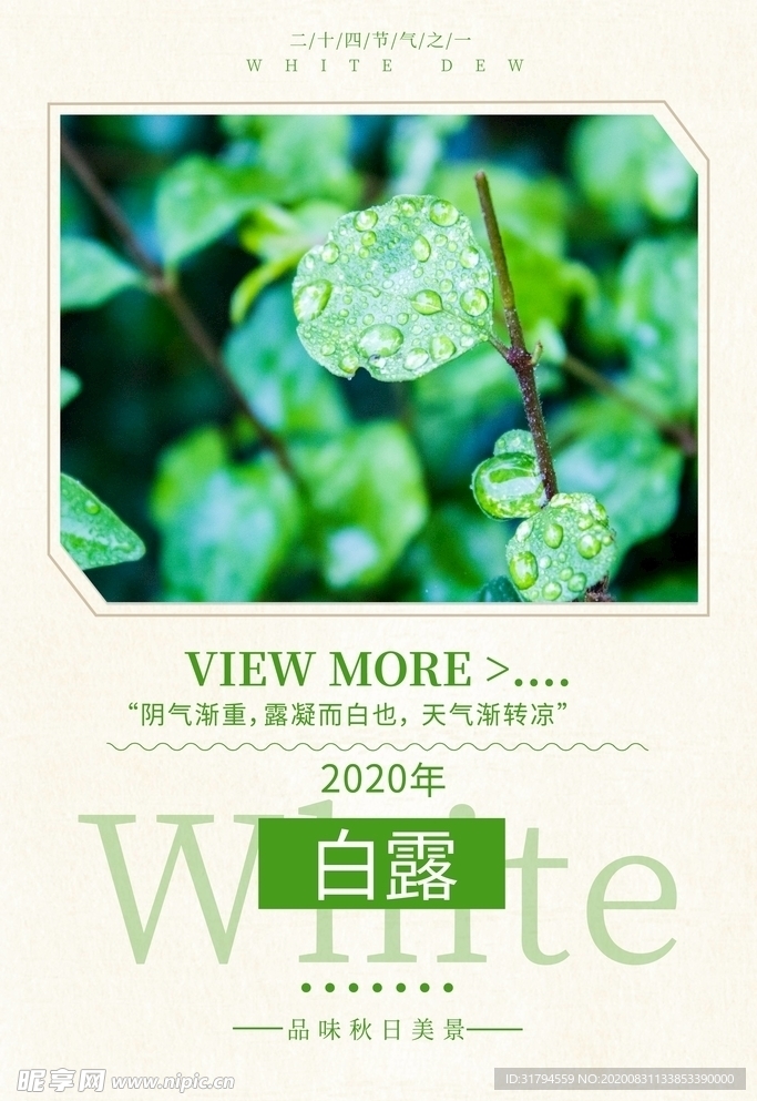 白露