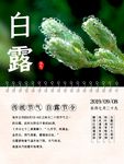 白露