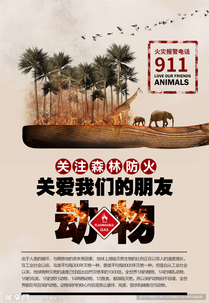 保护野生动物
