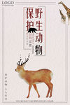 保护野生动物