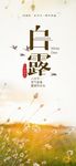 白露