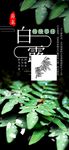白露