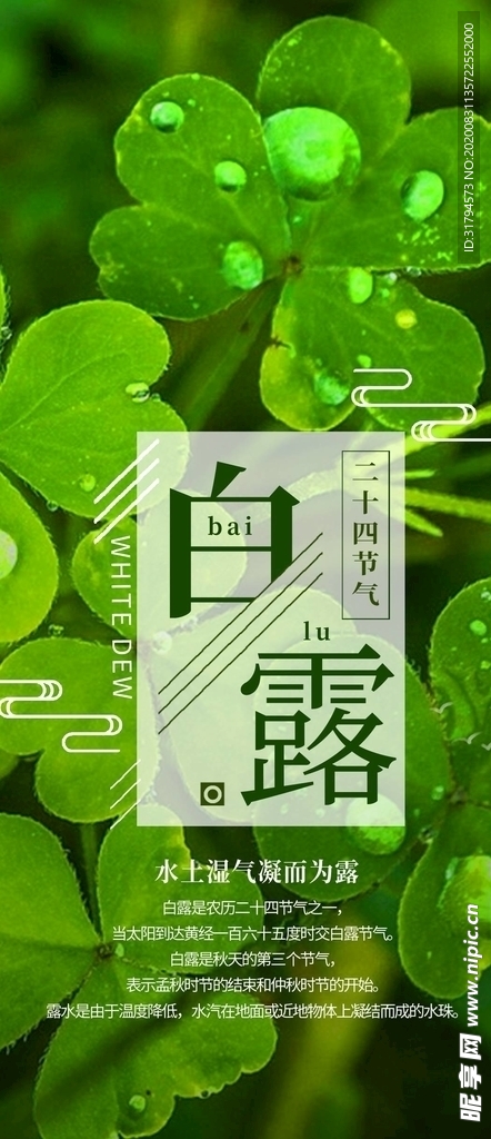 白露